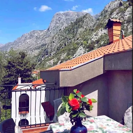 Rose Apartment Kotor Exterior photo