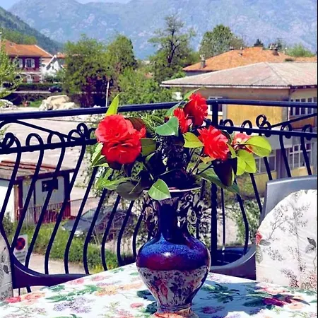 Rose Apartment Kotor Exterior photo